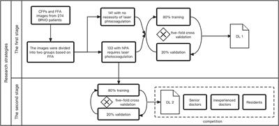 Deep Learning Models for Segmenting Non-perfusion Area of Color Fundus Photographs in Patients With Branch Retinal Vein Occlusion